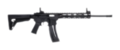 S&W M&P15